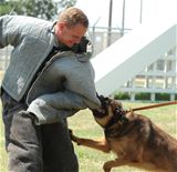 SSgt Conley and Kay the MWD